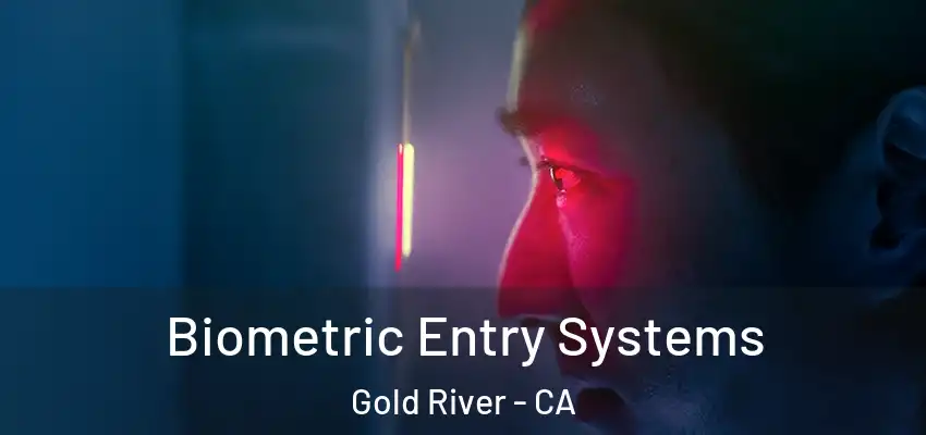  Biometric Entry Systems Gold River - CA