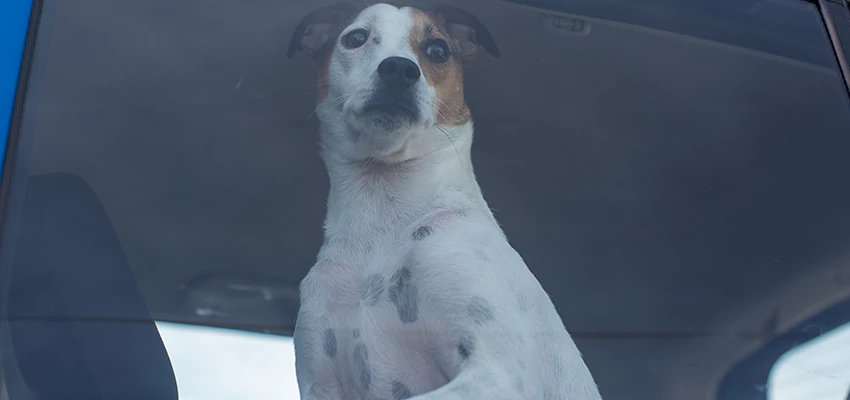 Car Lockout Solutions in Gold River, California