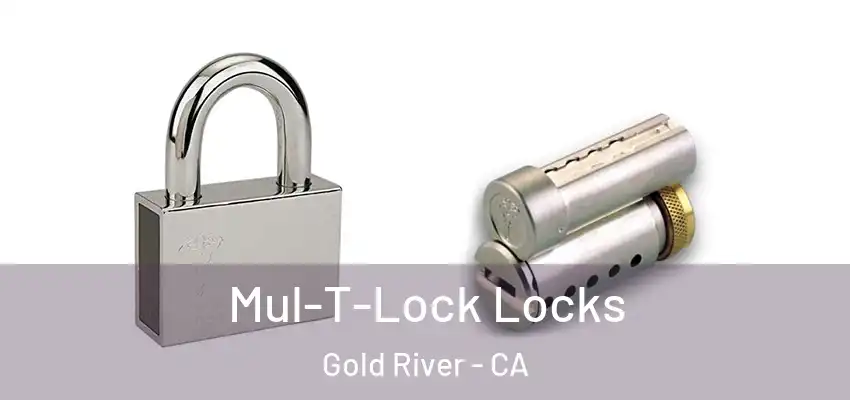  Mul-T-Lock Locks Gold River - CA
