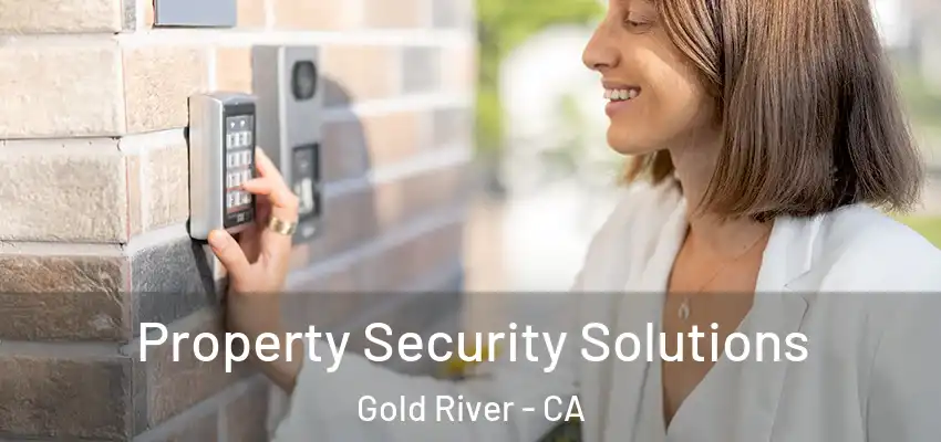 Property Security Solutions Gold River - CA